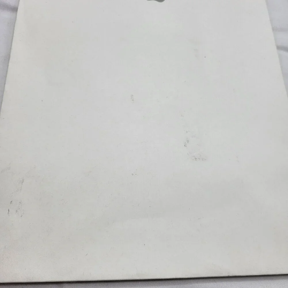 Apple Store Shopping Bag Gift Bag 11X8X5 White Grey Paper Reusable